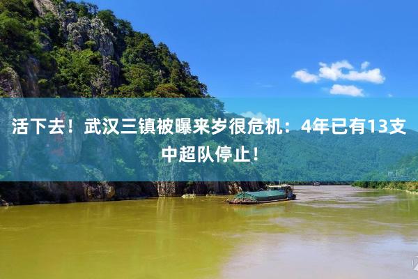 活下去！武汉三镇被曝来岁很危机：4年已有13支中超队停止！