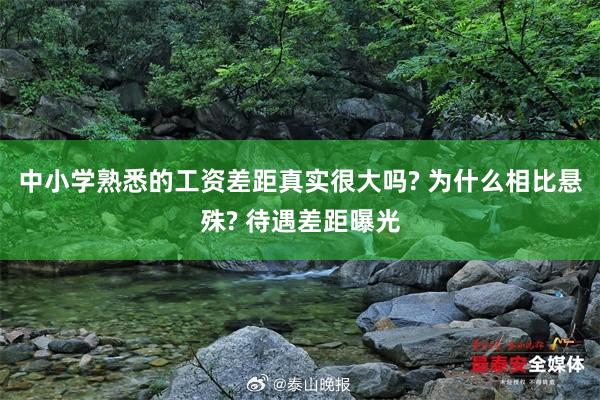 中小学熟悉的工资差距真实很大吗? 为什么相比悬殊? 待遇差距曝光