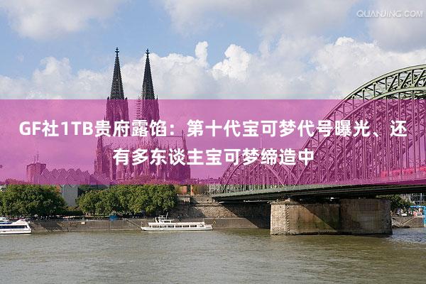 GF社1TB贵府露馅：第十代宝可梦代号曝光、还有多东谈主宝可梦缔造中